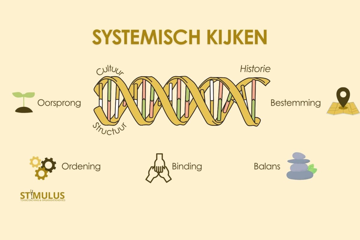 Systemisch kijken vanuit een breed perspectief naar leiderschap en een organisatie